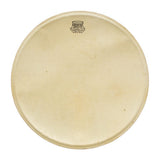 Kentville Drum Concert Kangaroo Drumset Drumhead